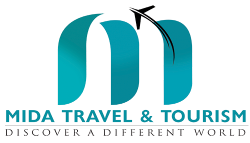 logo icon
